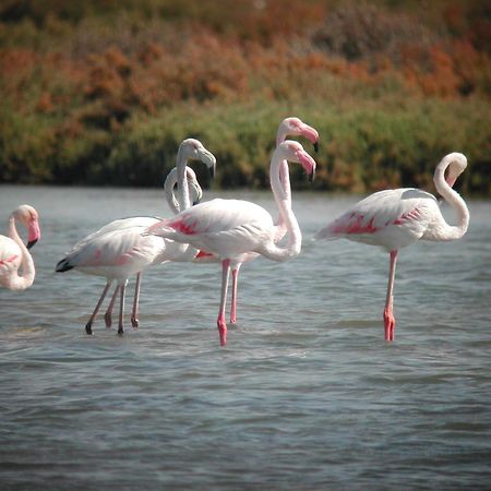 Alojamiento Rural Coto De La Isleta إل بويرتو دي سانتا ماريا المظهر الخارجي الصورة