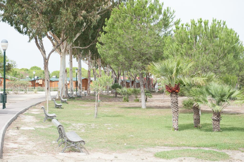 Alojamiento Rural Coto De La Isleta إل بويرتو دي سانتا ماريا المظهر الخارجي الصورة