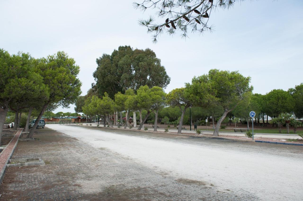Alojamiento Rural Coto De La Isleta إل بويرتو دي سانتا ماريا المظهر الخارجي الصورة
